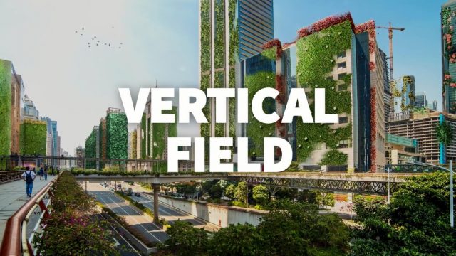 Vertical Field Video Production